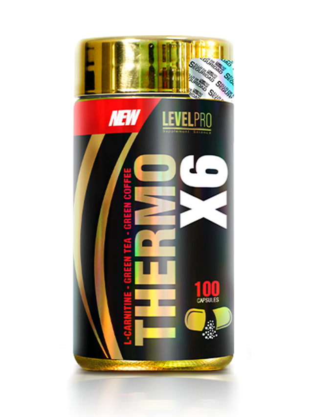 thermo_x6_100