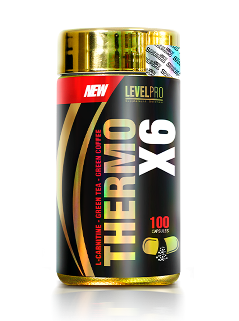 thermo_x6_100
